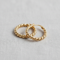 The Everyday Hoop Earrings